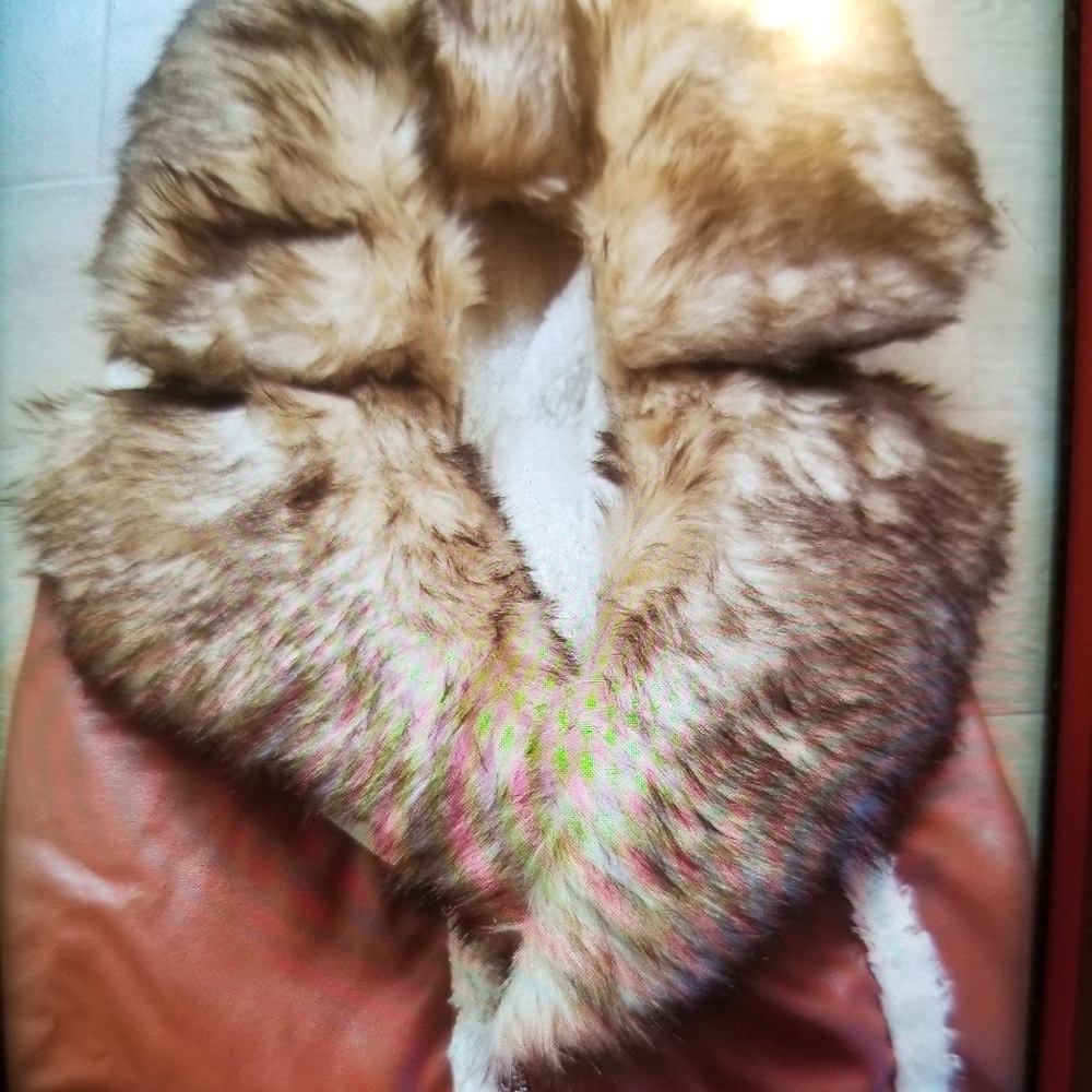 Coat - Picture 2 of 6